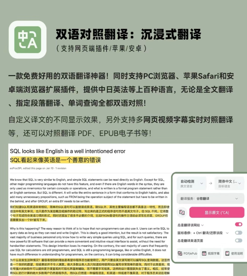 沉浸式翻译界面