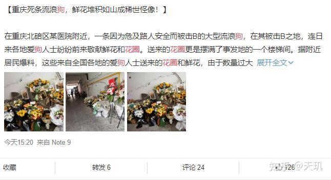 为什么你是个废物？对韭当割